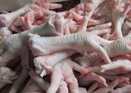 Grade A Processed Frozen Chicken Feet_Paws for sale